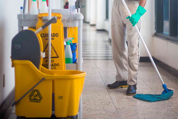 Selimint | Nuestros servicios